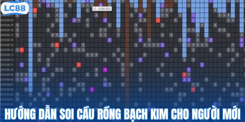 Hướng dẫn soi cầu Rồng Bạch Kim cho người mới