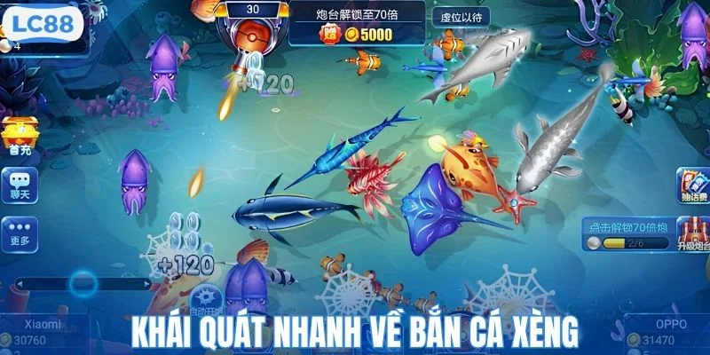 Khái quát nhanh về bắn cá xèng