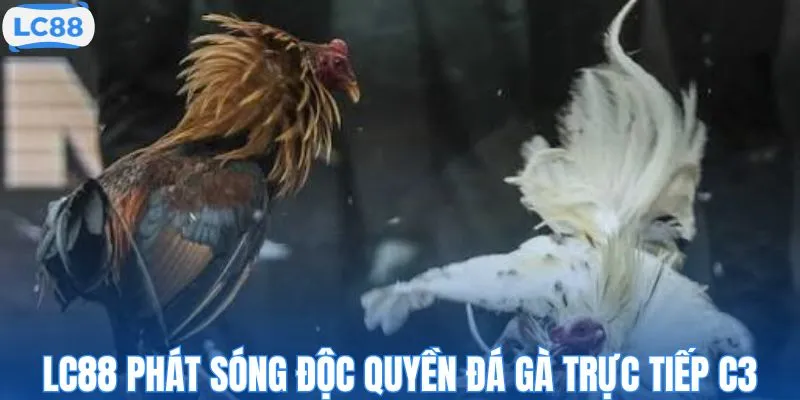 LC88 phát sóng độc quyền đá gà trực tiếp C3